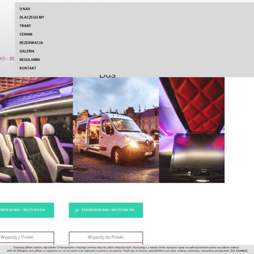 Przewóz osób niemcy