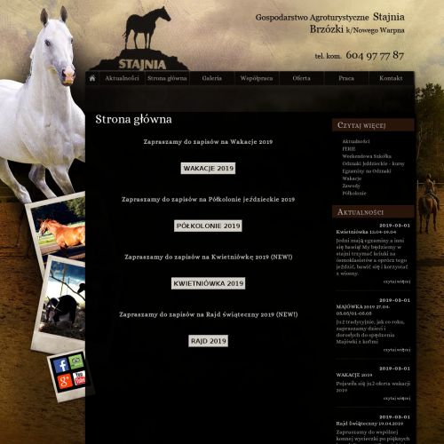 Szkółka jazdy konnej - Szczecin