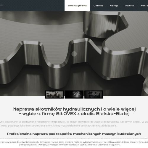 Regeneracja hydrauliki siłowej - Katowice