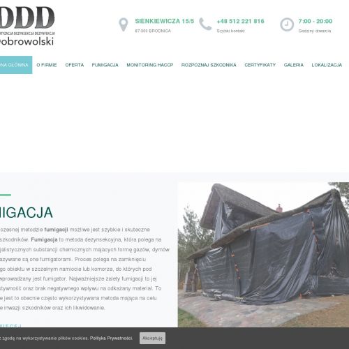 Deratyzacja - Włocławek