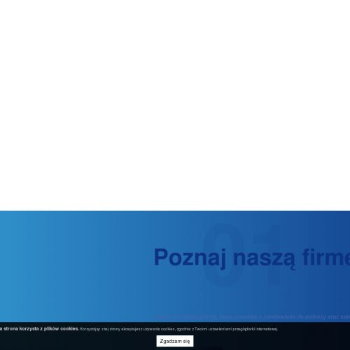 Wypożyczalnia samochodów kamper - Katowice