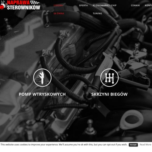 Kraków - naprawa sterowników silnika