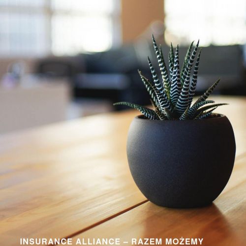 Multiagencja ubezpieczeniowa franczyza w Gdańsku