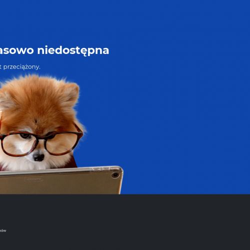 Usuwanie karaluchów w Warszawie