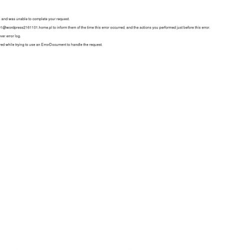 Montaż siatek przeciw ptakom w Krakowie